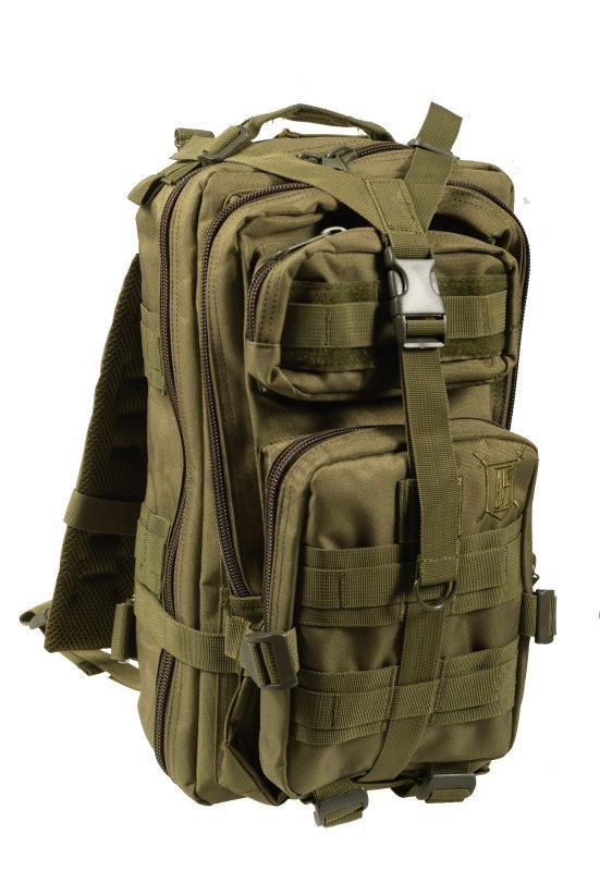 Delta Armory Tactical backpack ASSAULT ALE CAU 20L - Oliv