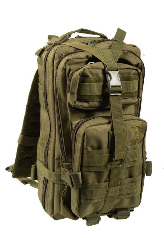 Delta Armory Tactical backpack ASSAULT ALE CAU 20L - Oliv