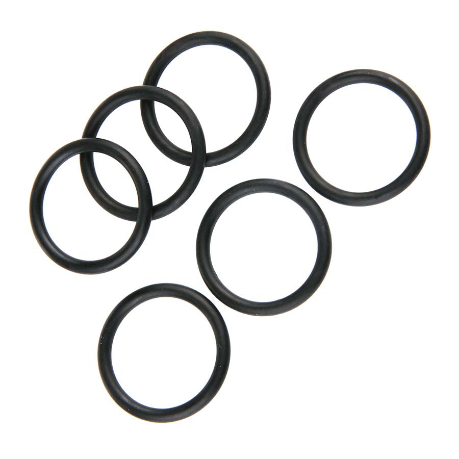 SHS O - Ring 19 x 2,5 mm