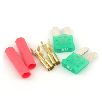 Gate Micro Fuse 2pcs